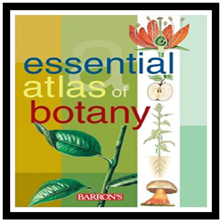 Book of the Week - 17th March 2019