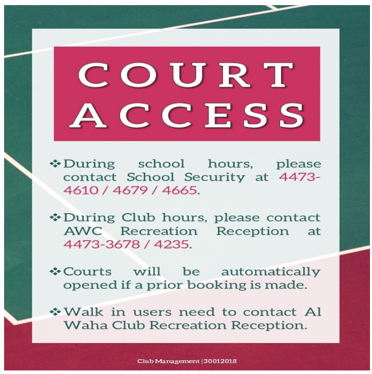 Court Access Procedures