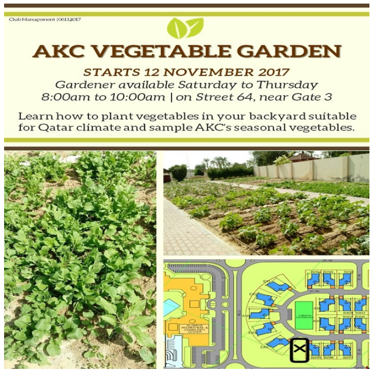 AKC Vegetable Garden